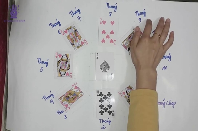 Bói bài mai hoa càn tượng là một phương pháp dự đoán cổ xưa