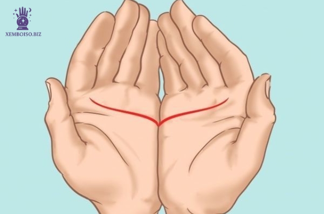 Bói chỉ tay là một phương pháp dự đoán tương lai được nhiều người ưa thích