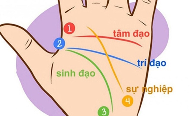 Thần Số Học và Vai Trò Trong Xem Bói Tính Cách