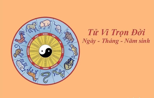 Tướng Số - Gương Mặt Phản Chiếu Vận Mệnh