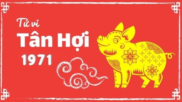 Những Yếu Tố Ảnh Hưởng Đến Vận Mệnh Tuổi Hợi 1971