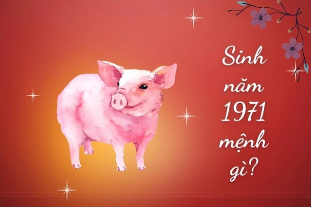 Tổng Quan Về Tuổi Hợi 1971 (Tân Hợi)